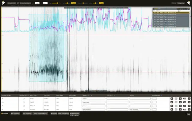 GrizEars Biologger Annotation