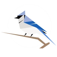 BirdNET